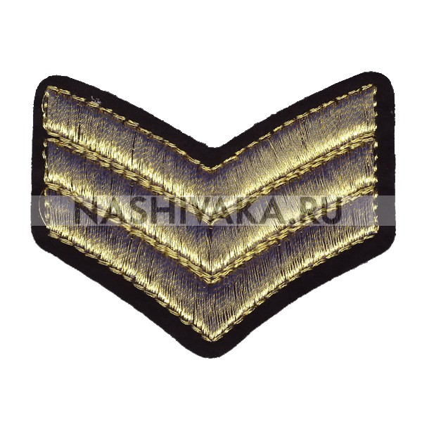 Нашивка Знак отличия ВС (золото) (201566), 45х60мм