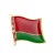 Значок Флаг Беларуси (300004)